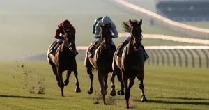 Scommesse sui cavalli 2026: concessione, margine e offerte reali